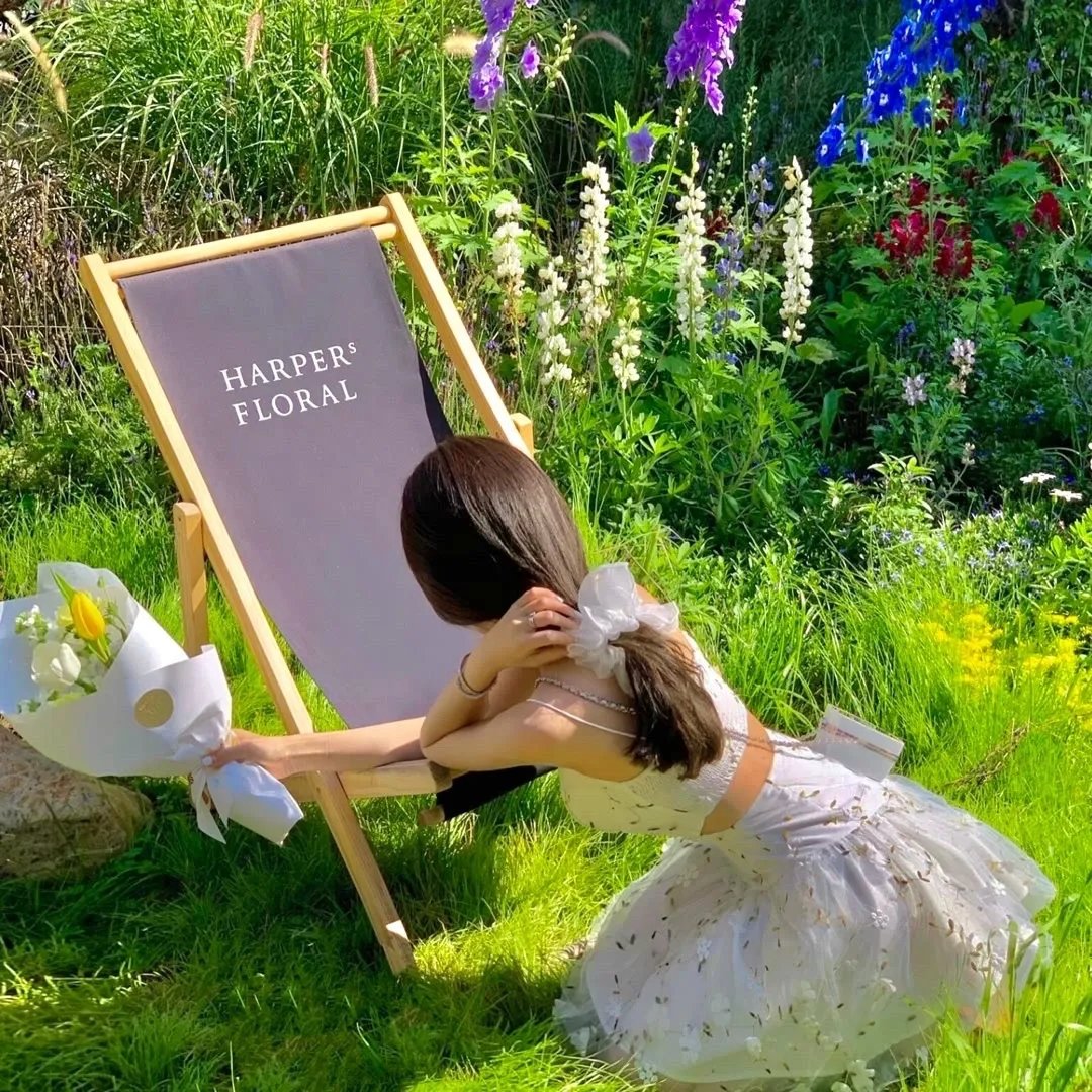 傅先生今天又在哄老婆